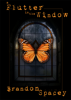 A Flutter in the Window cover